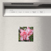 Frühlingsblüten mit doppeltem Rot und weißem Azale Magnet (In Situ (Geschirrspüler))