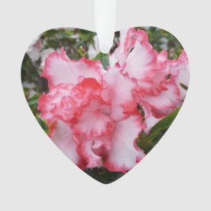 Frühlingsblüten mit doppeltem Rot und weißem Azale Ornament