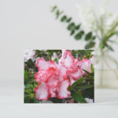 Frühlingsblüten mit doppeltem Rot und weißem Azale Postkarte (Stehend Vorderseite)