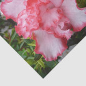 Frühlingsblüten mit doppeltem Rot und weißem Azale Seidenpapier (Ausschnitt)