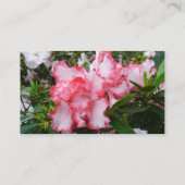 Frühlingsblüten mit doppeltem Rot und weißem Azale Visitenkarte (Rückseite)