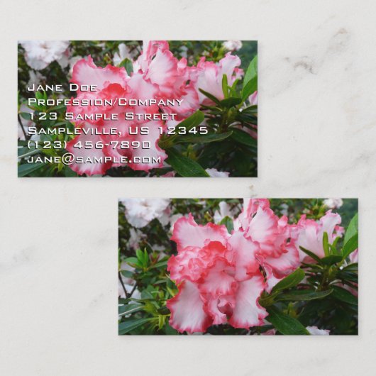 Frühlingsblüten mit doppeltem Rot und weißem Azale Visitenkarte (Vorne/Hinten)