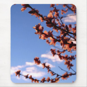 Frühlingsblüten Mousepad