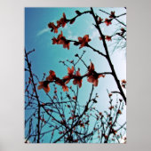 Frühlingsblüten Poster (Vorne)