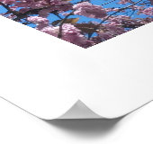 Frühlingsblüten Poster (Ecke)