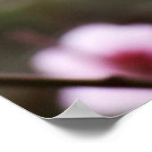 Frühlingsblüten Poster (Ecke)