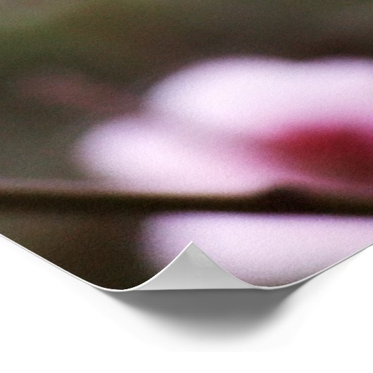 Frühlingsblüten Poster (Ecke)