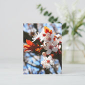 Frühlingsblüten Postkarte (Stehend Vorderseite)