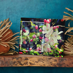 Frühlingsblüten schaffen Ihr eigenes Foto Fotoplatte