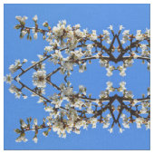 Frühlingsblüten Stoff (Nahaufnahme)