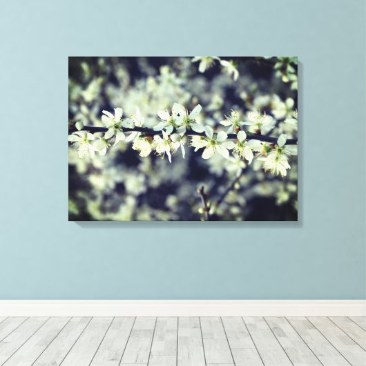 Frühlingsblüten überwölbte Leinwand (Insitu (Holzboden))