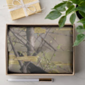 Frühlingsblüten von Gräser Seidenpapier (Geschenk)