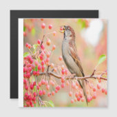 Frühlingsbraten essen Berries Magnetkarte (Vorne/Hinten)