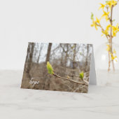 Frühlingsbude für Hoffnung denken Sie Karte (Gelbe Blume)