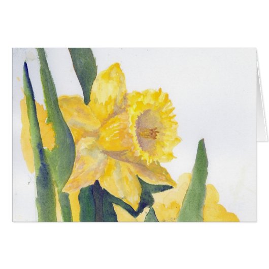 Frühlingsdaffodien (Vorderseite (Horizontal))