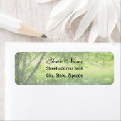 Frühlingsdaffodien (Insitu)