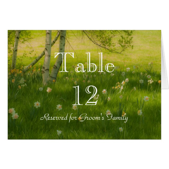 Frühlingsdaffodien (Vorderseite (Horizontal))