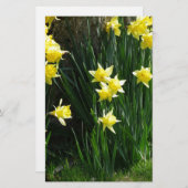 Frühlingsdaffodien Briefpapier (Vorne/Hinten)