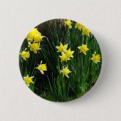 Frühlingsdaffodien Button (Vorderseite)