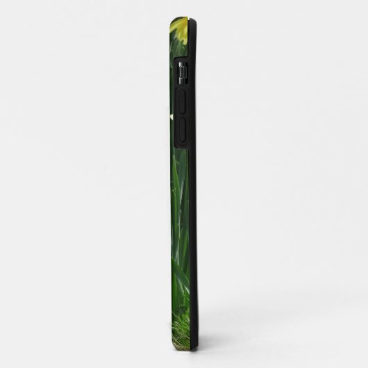 Frühlingsdaffodien Case-Mate iPhone Hülle (Hinten/Links)