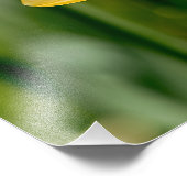 Frühlingsdaffodien Fotodruck (Ecke)