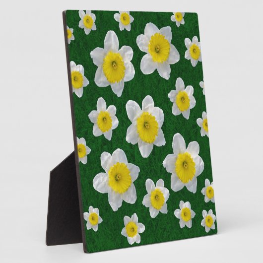 Frühlingsdaffodien Fotoplatte (Seite)