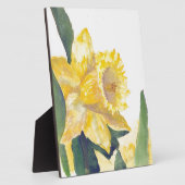 Frühlingsdaffodien Fotoplatte (Seite)