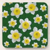 Frühlingsdaffodien Getränkeuntersetzer (Vorderseite)