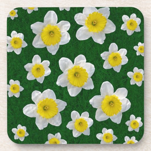 Frühlingsdaffodien Getränkeuntersetzer (Vorderseite)