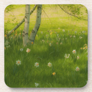 Frühlingsdaffodien Getränkeuntersetzer