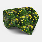 Frühlingsdaffodien Krawatte (Gerollt)