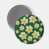 Frühlingsdaffodien Magnet (Vorderseite/Rückseite)