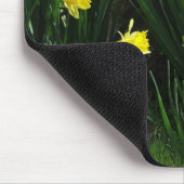 Frühlingsdaffodien Mousepad (Ecke)