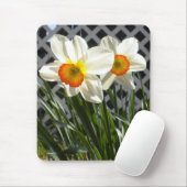Frühlingsdaffodien Mousepad (Mit Mouse)
