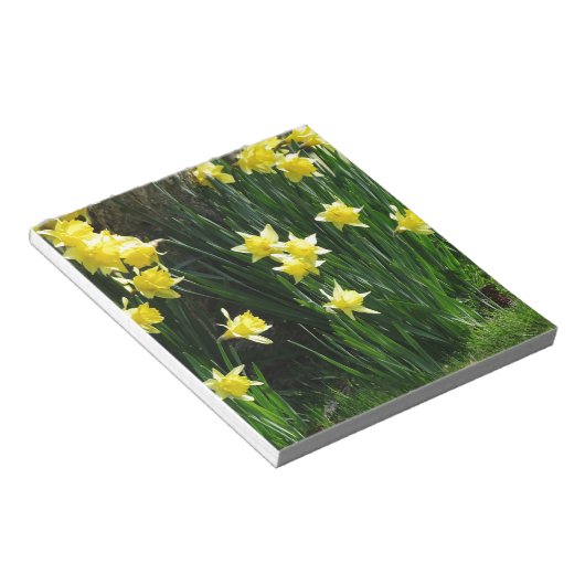 Frühlingsdaffodien Notizblock (angewinkelt)
