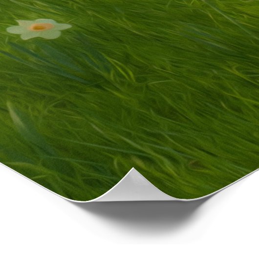 Frühlingsdaffodien Poster (Ecke)