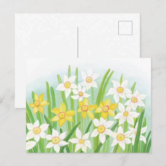 Frühlingsdaffodien Postkarte (Vorne/Hinten)