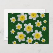 Frühlingsdaffodien Postkarte (Vorne/Hinten)