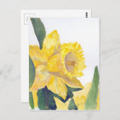 Frühlingsdaffodien Postkarte (Vorne/Hinten)
