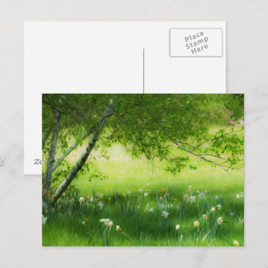 Frühlingsdaffodien Postkarte (Vorne/Hinten)