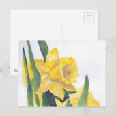 Frühlingsdaffodien Postkarte (Vorne/Hinten)