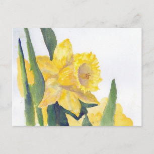Frühlingsdaffodien Postkarte
