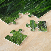 Frühlingsdaffodien Puzzle (Seite)