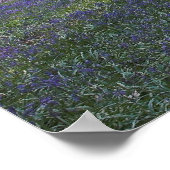 Frühlingsdämmerung Poster (Ecke)