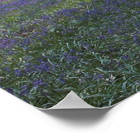 Frühlingsdämmerung Poster (Ecke)