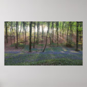 Frühlingsdämmerung Poster (Vorne)