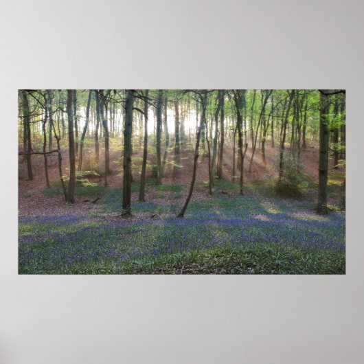 Frühlingsdämmerung Poster (Vorne)