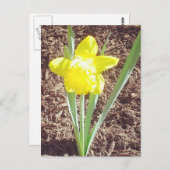 Frühlingsdialbild Postkarte (Vorne/Hinten)