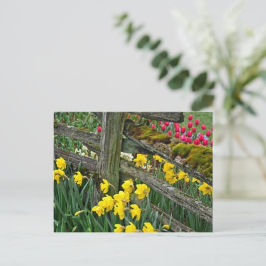 Frühlingsdialdruck Postkarte (Stehend Vorderseite)