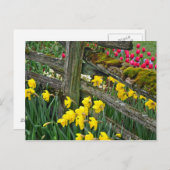 Frühlingsdialdruck Postkarte (Vorne/Hinten)